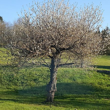 Gite Bard Des Ours Saint-Martin-en-Vercors Eksteriør bilde